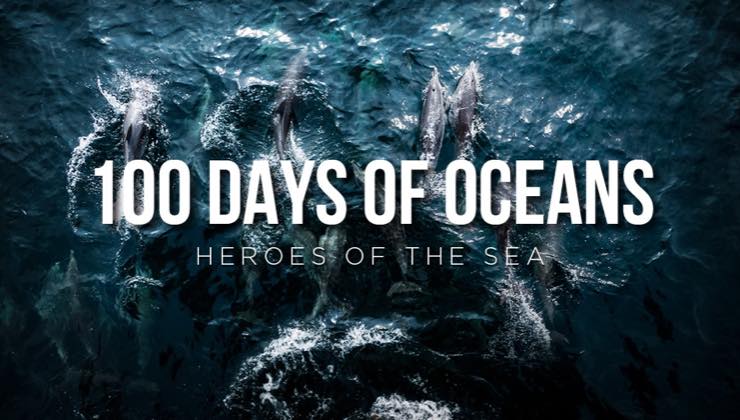 Helden der Meere